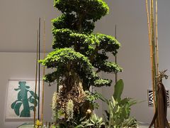 -上海当代艺术博物馆
