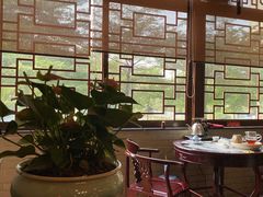 -山水茶艺馆·点心粤菜·30年老字号