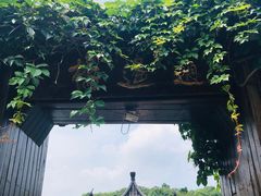 -天目湖山水园