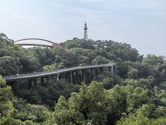 -金鸡山公园
