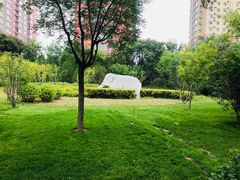 -迎泽公园
