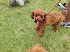 -栖露营camping·天幕烧烤·团建拓展·采摘营地
