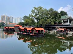 -侨美·唐荔园·40年地道粤菜