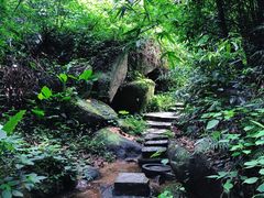 -阳台山森林公园