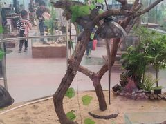 -南宫五洲植物乐园