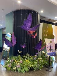 -苏州奥拉克美容医院