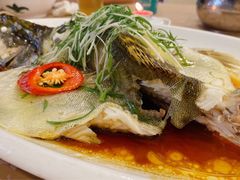 清蒸桂花鱼-绿雅居原生态农庄(小涌店)