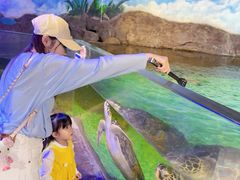 -萌宠奇缘(荣鼎店)