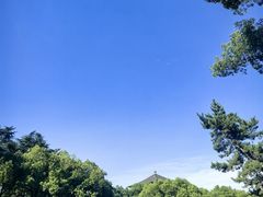 -浙江大学(玉泉校区)