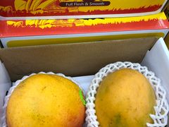 -山姆会员商店(杨桥西路店)