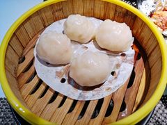 水晶皇虾饺-日昌餐馆(Mini西点茂店)