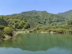 -龙坞茶村