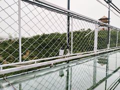 -铜川市金锁关石林