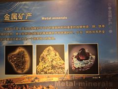 -甘肃地质博物馆