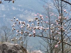 -九皇山景区