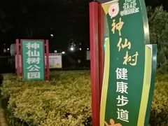 -神仙树公园