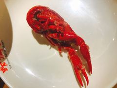 金汤蒜香龙虾-虾满堂(瑞虹店)