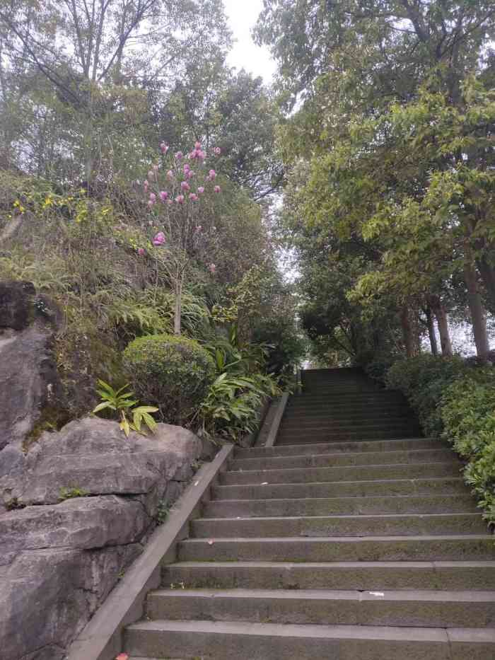 龙脊岭公园-"交通: [憨笑][憨笑]全靠走,爬坡上坎."-大众点评移动版