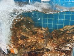 -仙螺岛海鲜自助餐厅(总店)
