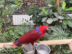 -南宫五洲植物乐园