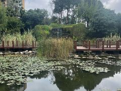 -昆明洲际酒店