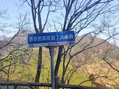 -灵栖洞天