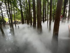 -东湖落雁景区