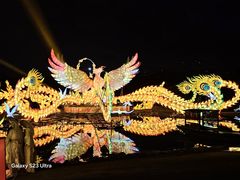-武汉园博园(武汉自然博物馆)