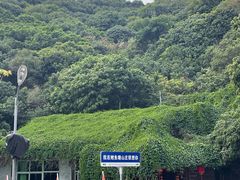 -鲤鱼塘农家山庄