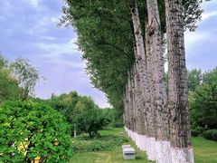 -燕郊植物园
