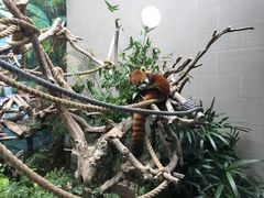 -石排湾郊野公园