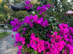 -万景茶庄·台州菜