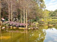 -深圳仙湖植物园
