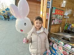 -廊坊固安福朋喜来登酒店