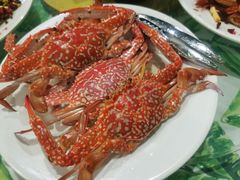 -四姑娘川味海鲜(八爪鱼店)