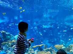 -西雅图水族馆