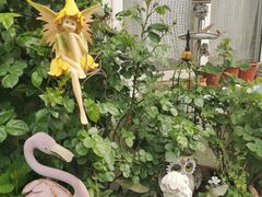 -荒度咖啡(北九水店)