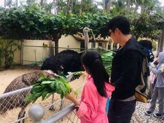 -三亚亚龙湾天域度假酒店