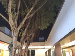 -麦当劳(电白服务区店)