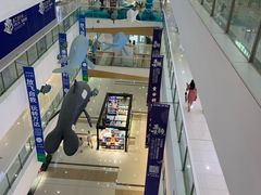 -上海颛桥万达广场