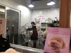 -1013 PET SHOP 宠物商店(近铁城市广场店)