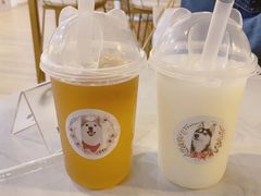 -Husky Go! 哈士奇体验馆·宠物咖啡厅狗咖