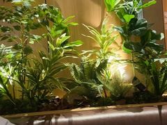 -太二酸菜鱼(天鹅湖万达店)