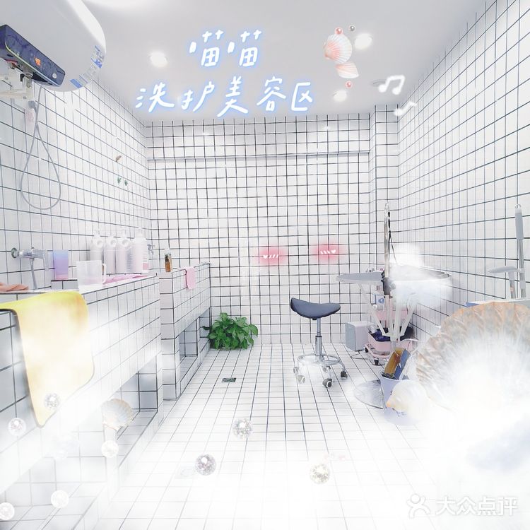 探店 ‖ 一起养宠物,一起快乐吧~