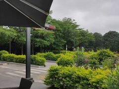 -麦当劳(常山服务区得来速店)