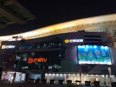 -圣爵菲斯大酒店(长沙世界之窗店)