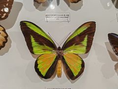 -吉林省自然博物馆