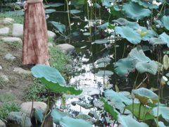 -惠州西湖丰渚园