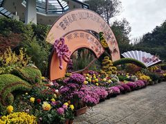 -杭州植物园