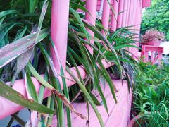 -胖爸爸烘焙工作室(平湖家居店)